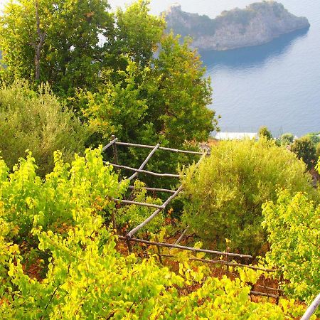 아말피 Giardino Sul Mare 아파트 외부 사진