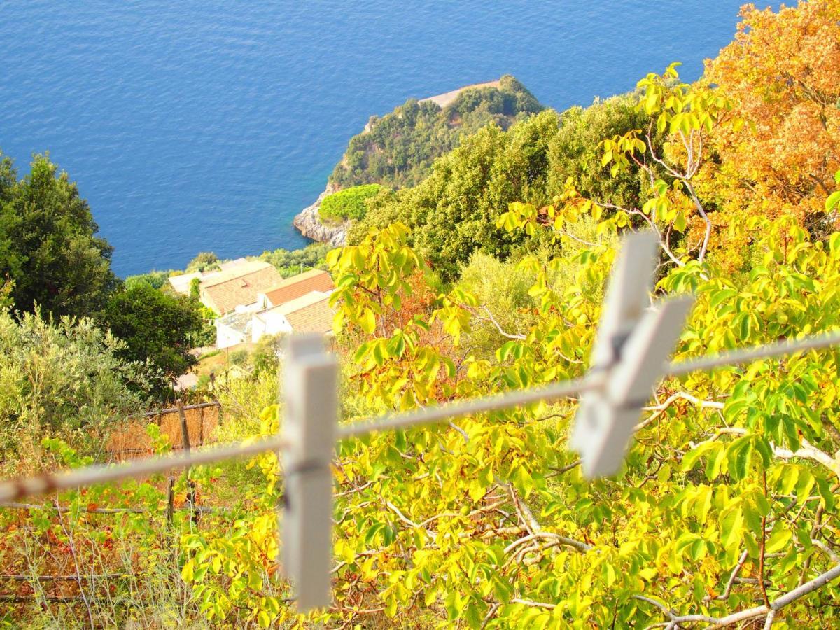 아말피 Giardino Sul Mare 아파트 외부 사진